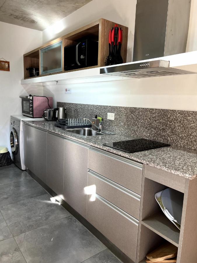 Apartament Aliwensma Coihue San Martín de los Andes Zewnętrze zdjęcie